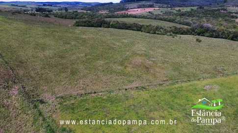 VAI ATE MANGUEIRA OVELHAS.00_02_39_15.Quadro030_c39671b2a517a2b0b3bbc6935d8a850f50594cf1.jpg